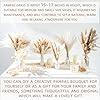 Dried Pampas Grass Bouquet – Bohemian Style Flowering Decoration for Vases, Home Decor - Image 5