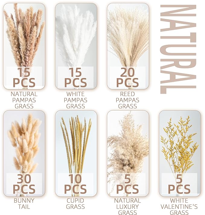 Dried Pampas Grass Bouquet – Bohemian Style Flowering Decoration for Vases, Home Decor - Image 3