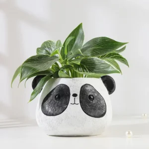panda whisper jungle pot 1